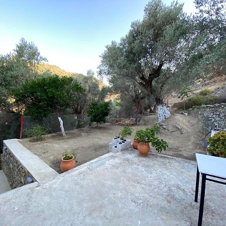 Apartmán House With Beautiful Garden In Plomari Exteriér fotografie