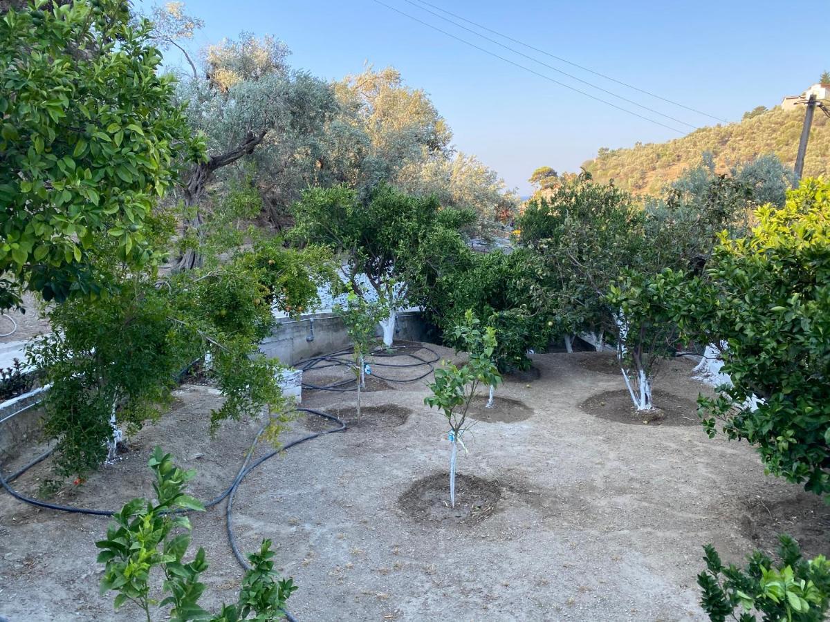 Apartmán House With Beautiful Garden In Plomari Exteriér fotografie