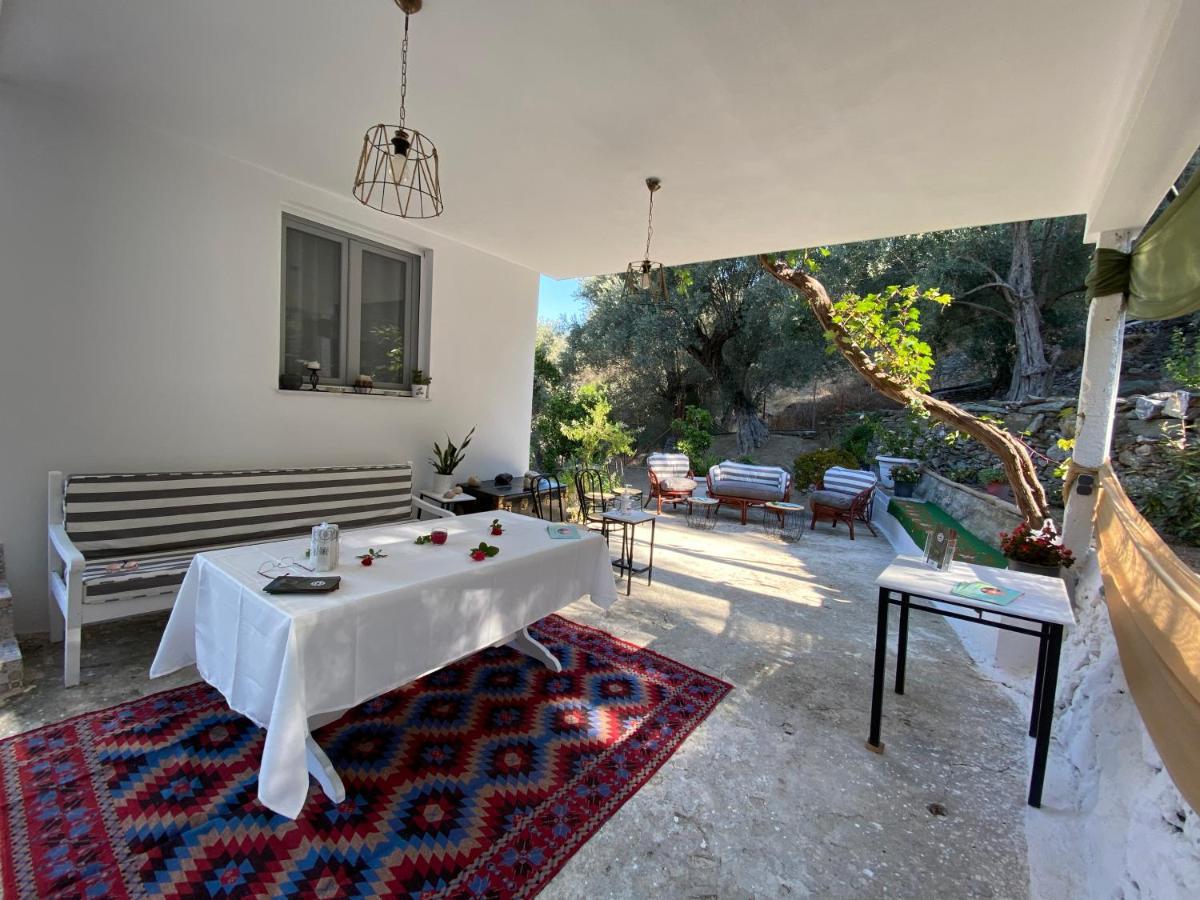 Apartmán House With Beautiful Garden In Plomari Exteriér fotografie