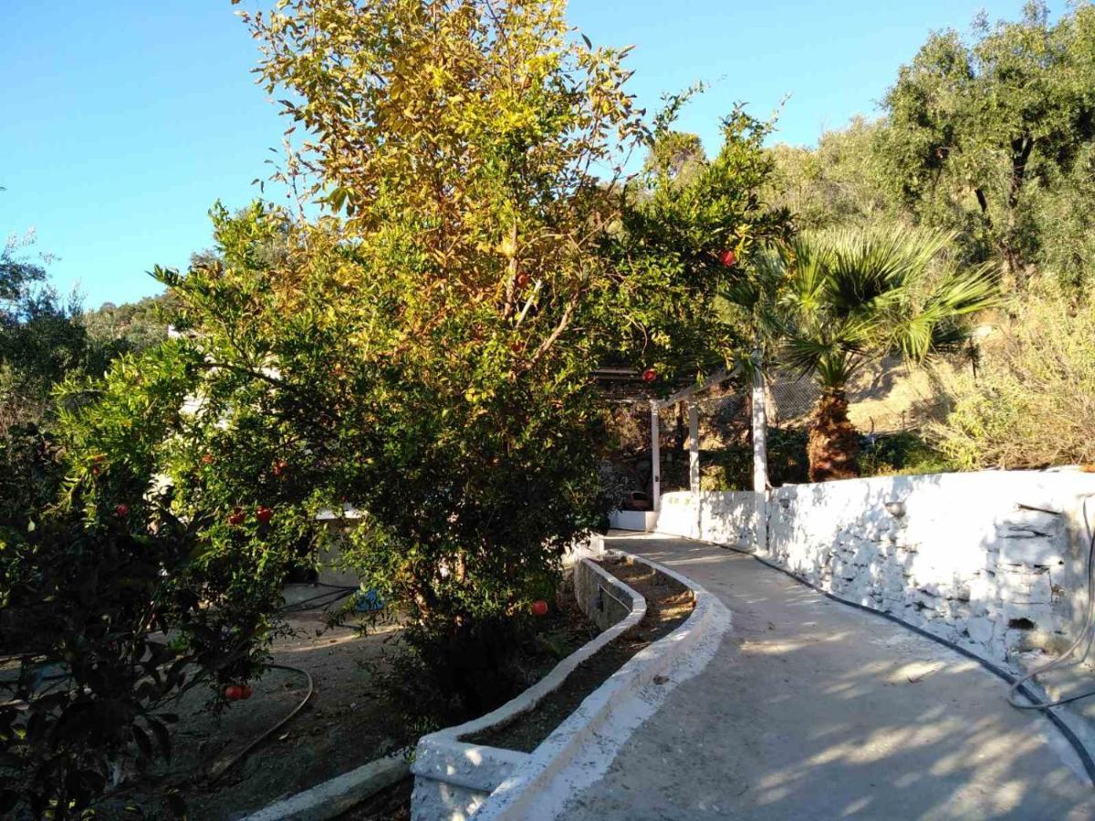 Apartmán House With Beautiful Garden In Plomari Exteriér fotografie