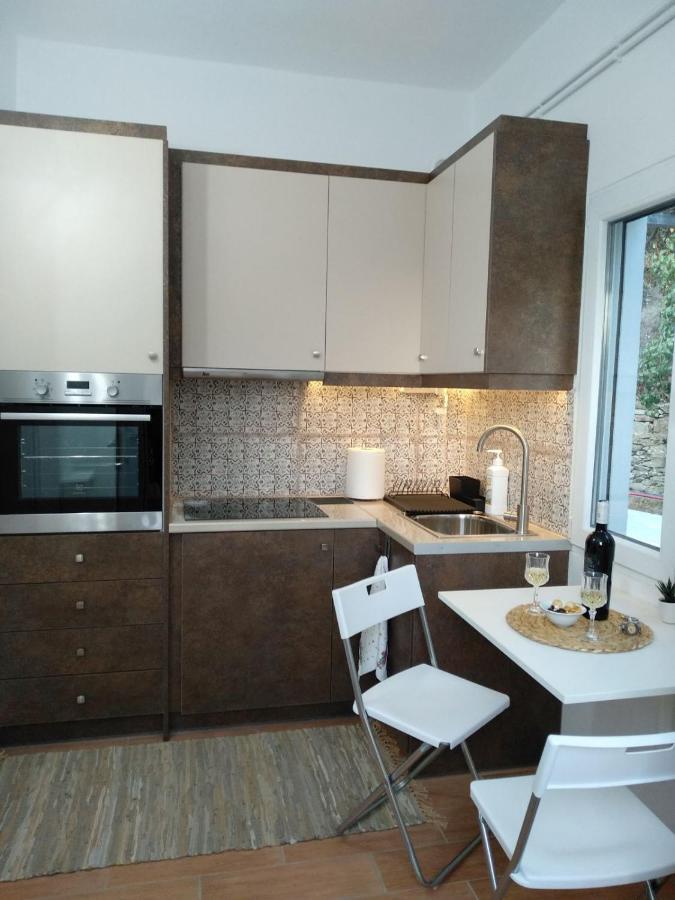 Apartmán House With Beautiful Garden In Plomari Exteriér fotografie