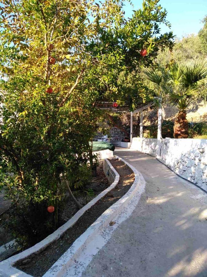 Apartmán House With Beautiful Garden In Plomari Exteriér fotografie