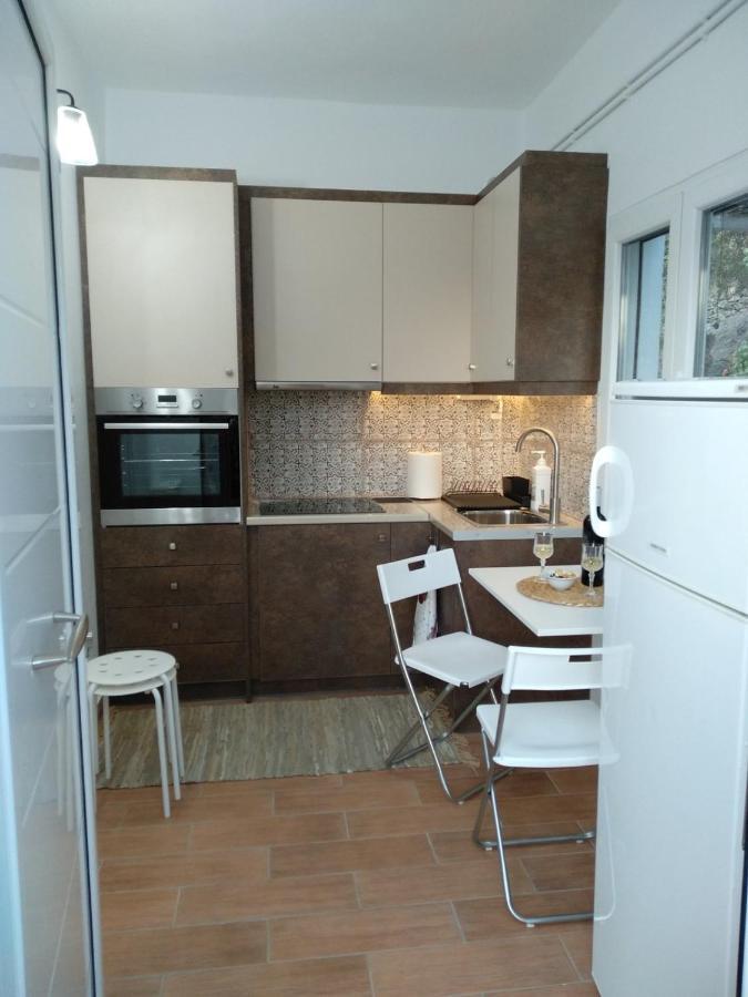 Apartmán House With Beautiful Garden In Plomari Exteriér fotografie