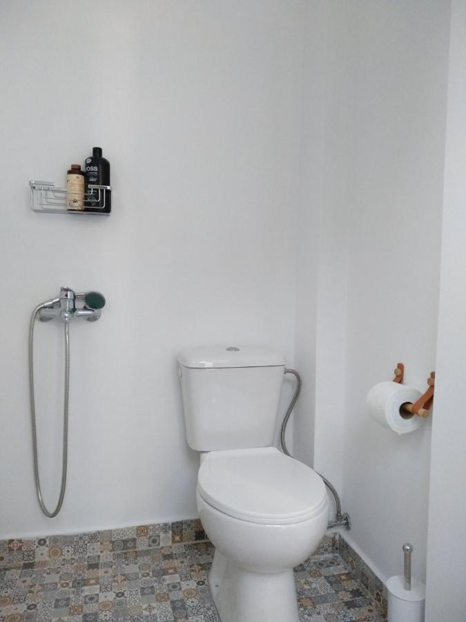 Apartmán House With Beautiful Garden In Plomari Exteriér fotografie